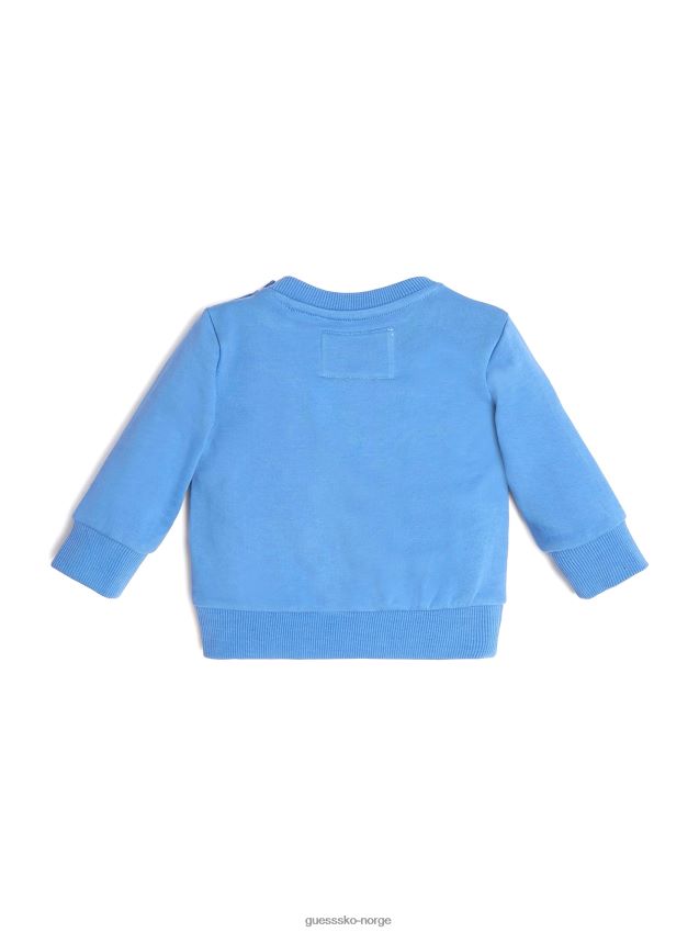 Guess bacopa eco bear sweatshirt (2-7) bacopa gutt F0LJ8011463