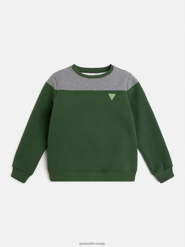 Guess grå scuba-genser grå gutt F0LJ802137