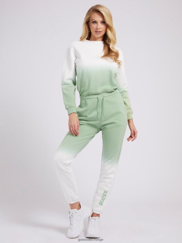 Guess grønn multi-farge gradient sweatshirt grønn multi kvinner F0LJ804849