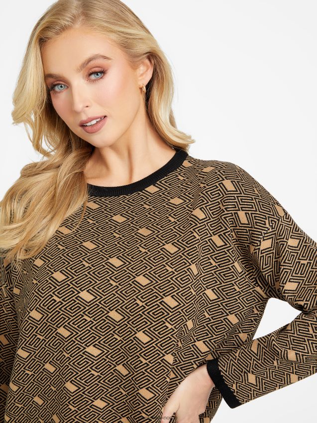 Guess øko boxy cachet genser ristet taupe multi ristet taupe multi kvinner F0LJ807196