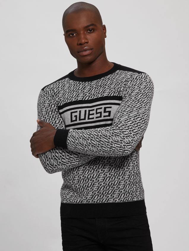Guess allover logo g grå og b eco palmer jacquard logo genser allover logo g grå og b menn F0LJ8010454