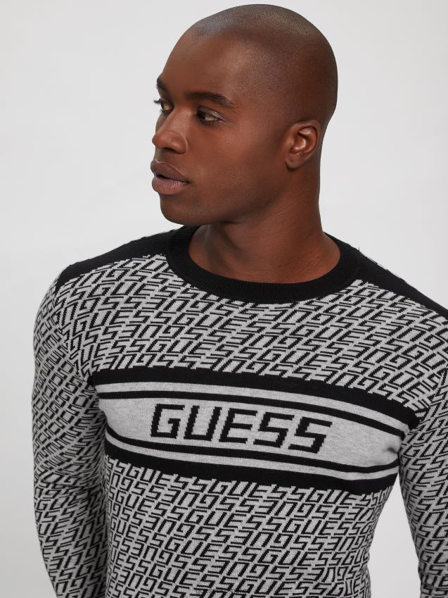 Guess allover logo g grå og b eco palmer jacquard logo genser allover logo g grå og b menn F0LJ8010454