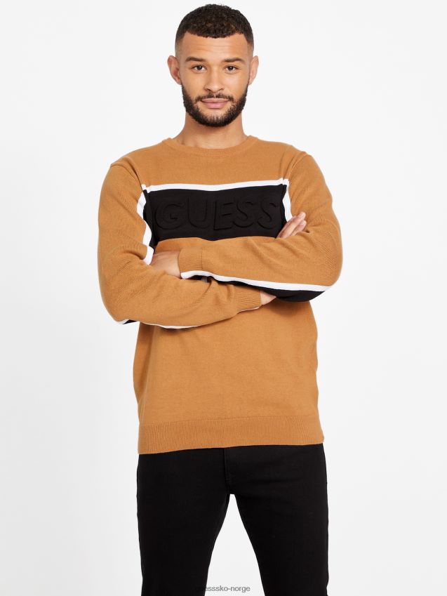 Guess ro farge-blokk genser brun topas brun topas menn F0LJ808376