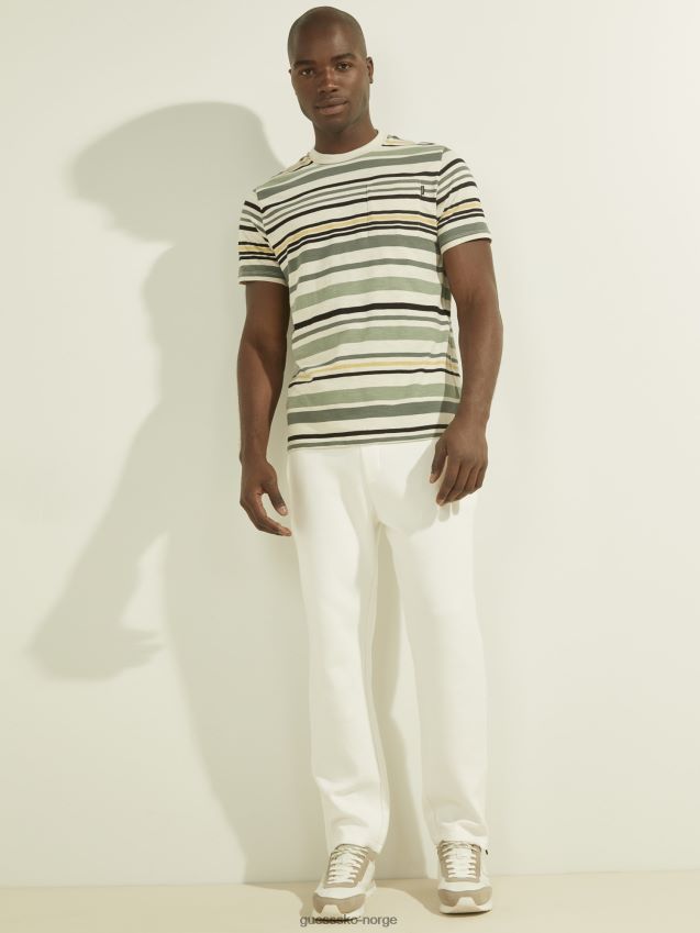 Guess stripe motiv t-skjorte grønn multi grønn multi menn F0LJ801122