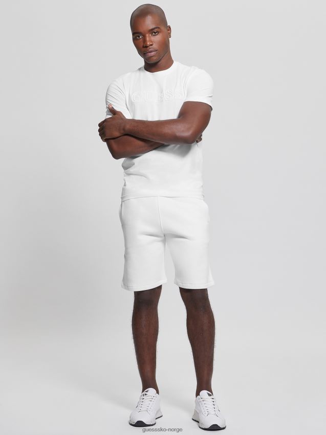 Guess øko alphy t-skjorte blanc/scuffy blank/skurete menn F0LJ8010823