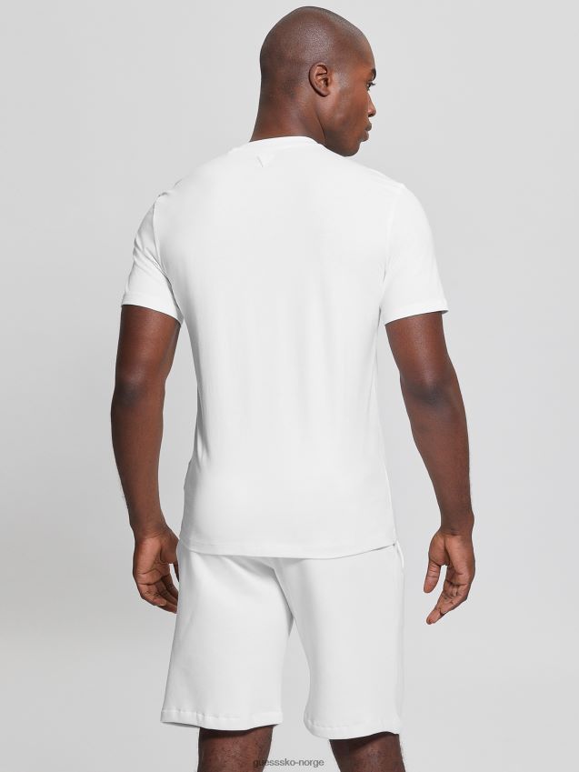 Guess øko alphy t-skjorte blanc/scuffy blank/skurete menn F0LJ8010823
