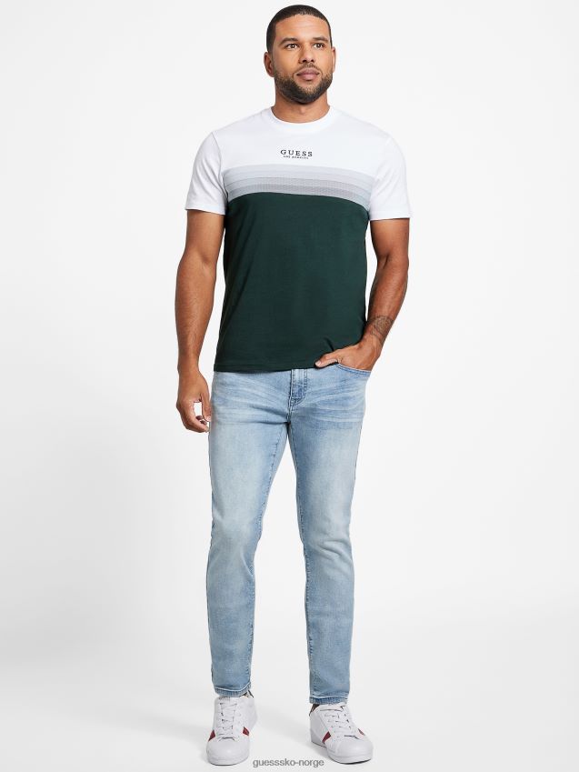 Guess rami fargeblokkert tee alpine grove alpin lund menn F0LJ808044
