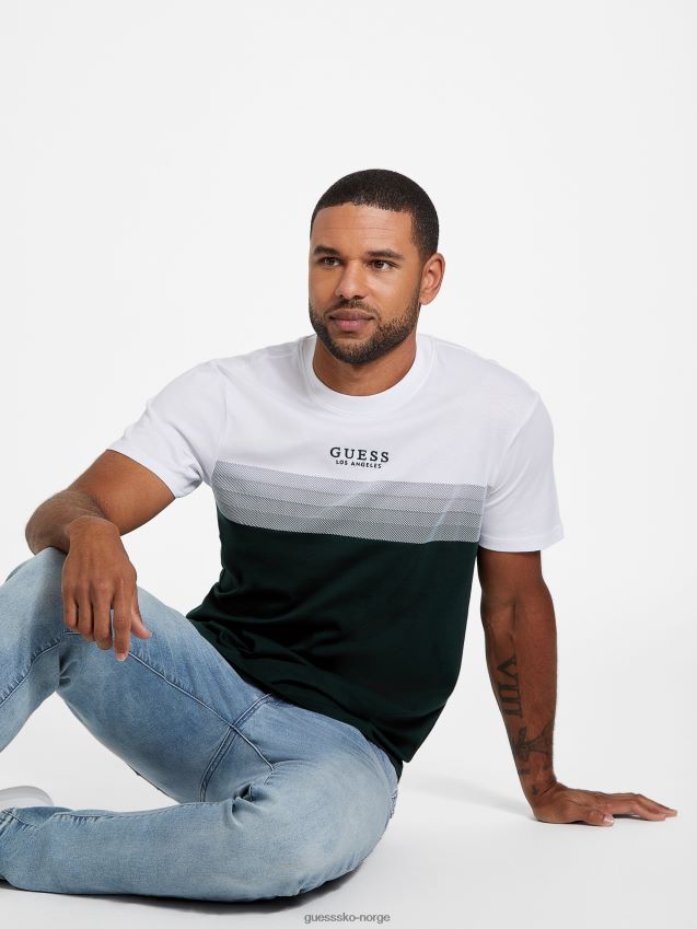 Guess rami fargeblokkert tee alpine grove alpin lund menn F0LJ808044
