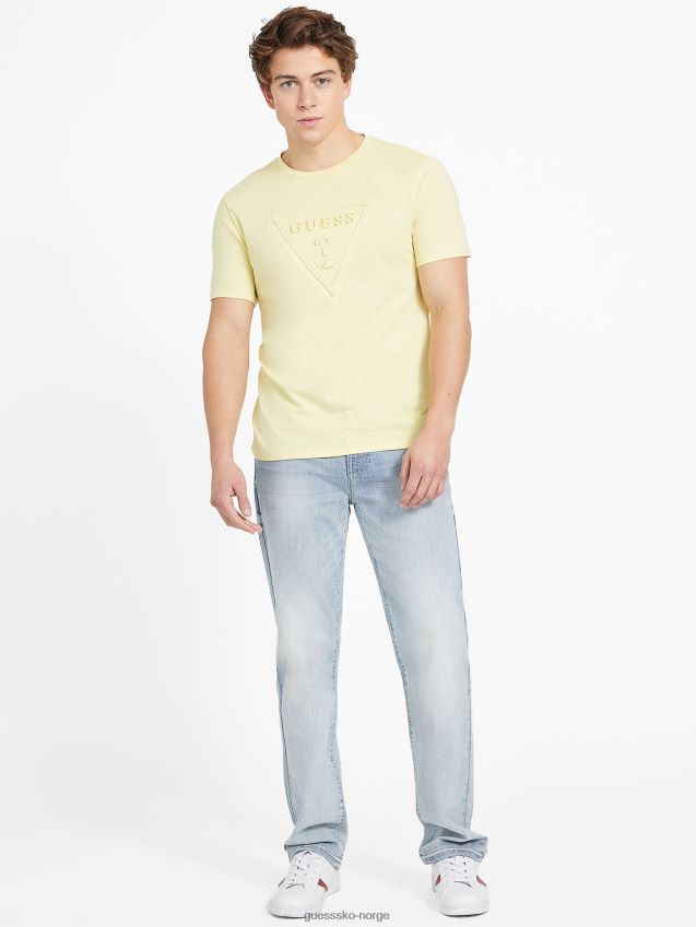 Guess sitrus sun eco gustavo t-skjorte med rund hals sitrus sol menn F0LJ808558