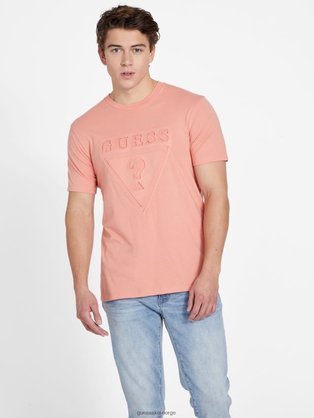 Guess solblomstrende logo-t-skjorte med rund hals sol florid menn F0LJ808428