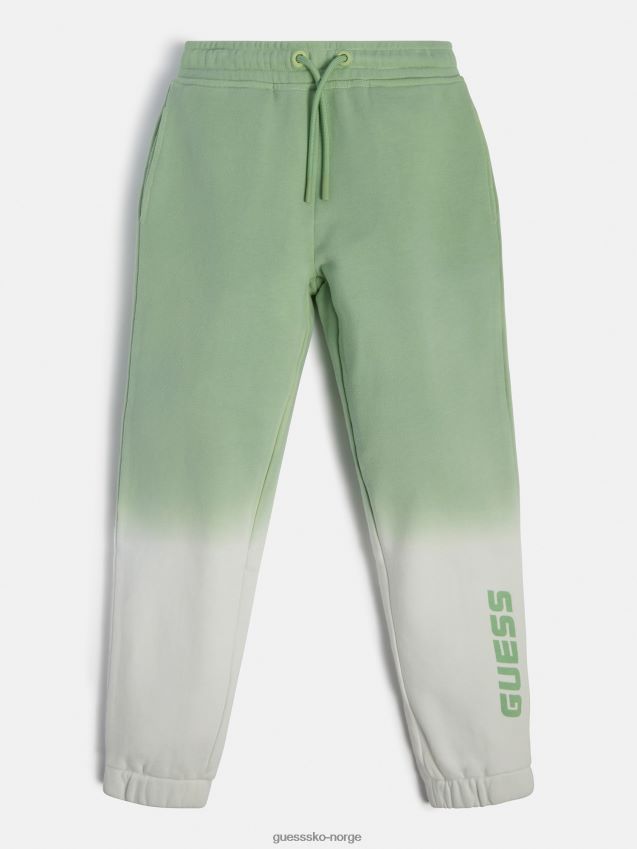 Guess sidelogo aktiv bukse grønn multi grønn multi pike F0LJ801992