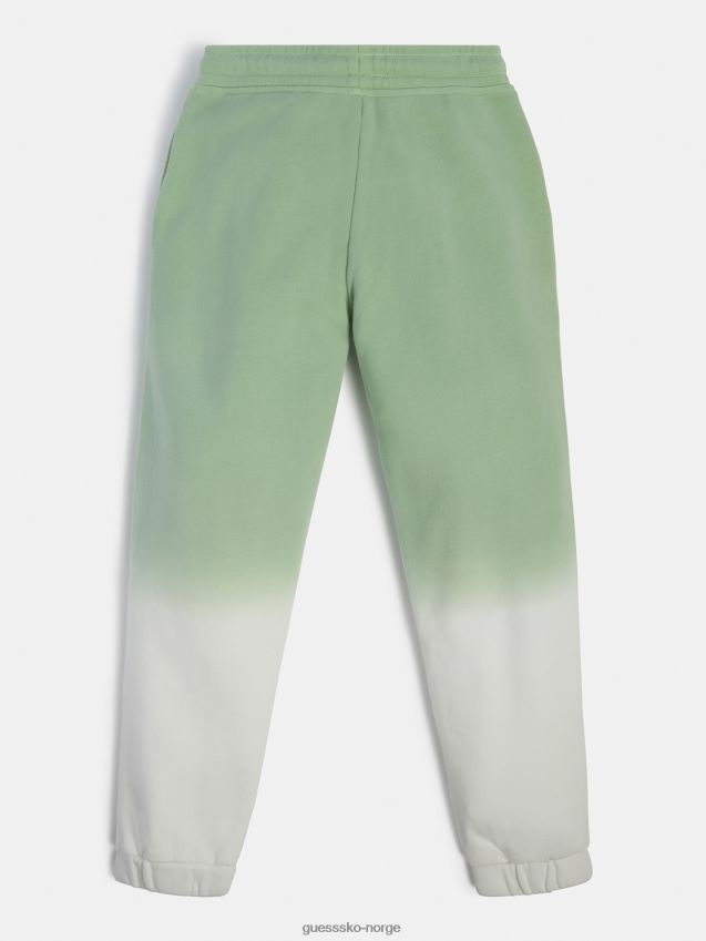 Guess sidelogo aktiv bukse grønn multi grønn multi pike F0LJ801992