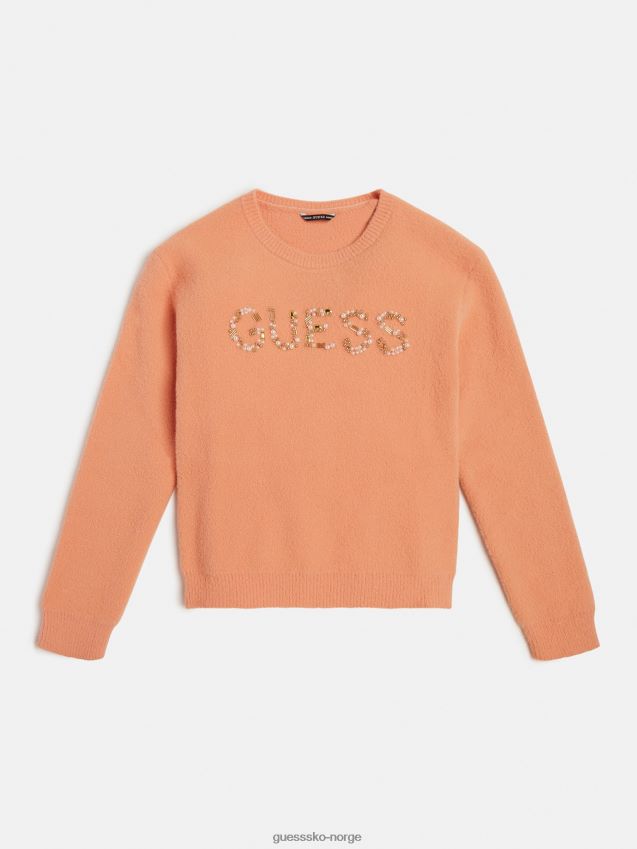 Guess oransje logogenser foran oransje pike F0LJ802191