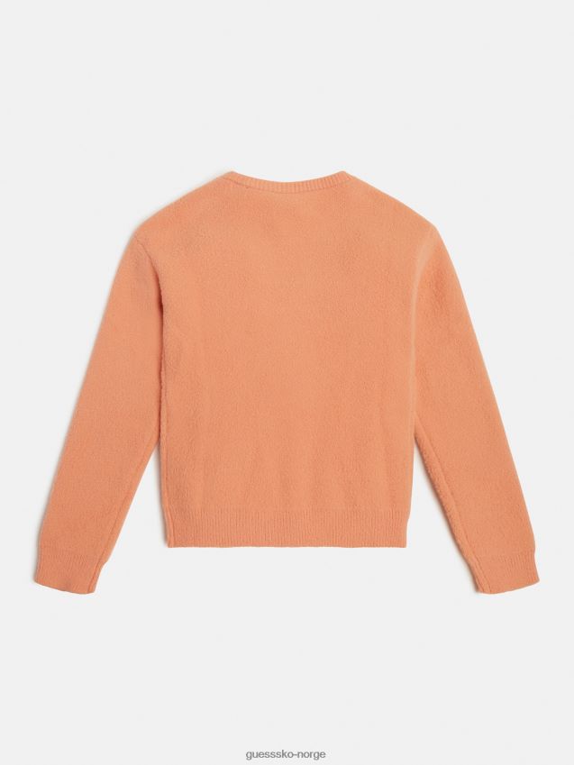 Guess oransje logogenser foran oransje pike F0LJ802191