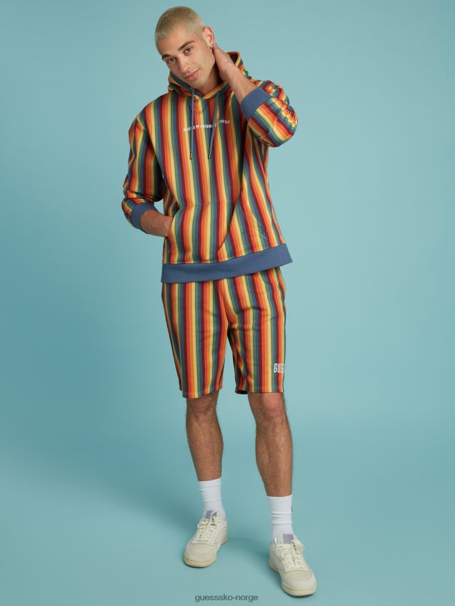 Guess flerfarget mønster stripete hettegenser flerfarget mønster unisex F0LJ801369