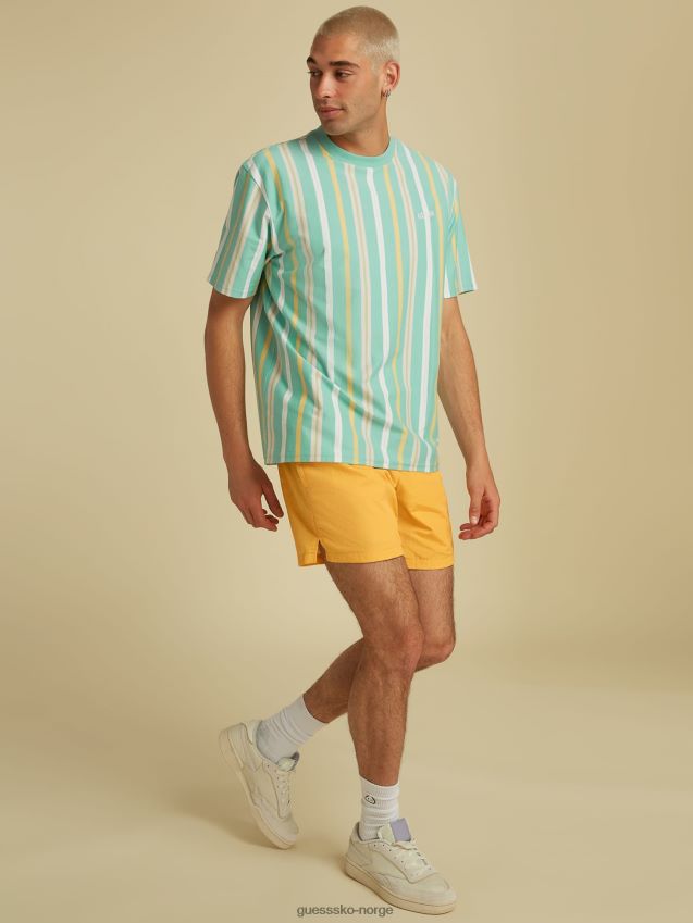 Guess stripe motiv logo t-skjorte grønn multi grønn multi unisex F0LJ80872