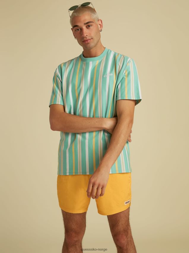 Guess stripe motiv logo t-skjorte grønn multi grønn multi unisex F0LJ80872